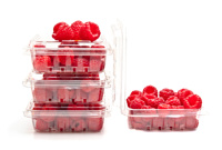 Packaged Berries