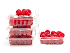 Berry Plastic Packaging